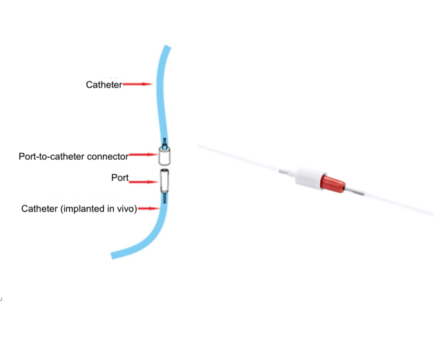 Vascular Infusion and Sampling System for Small Animals - RWD Life Science