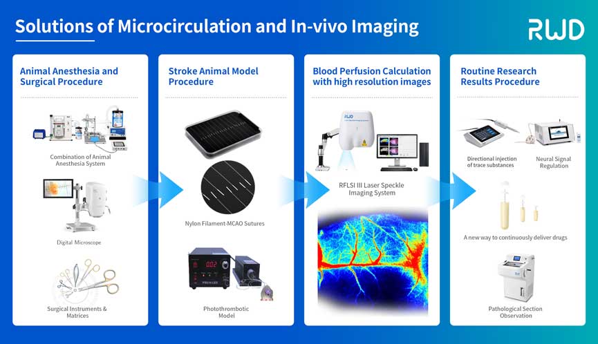 solutions of microcirculation and in-vivo imaging