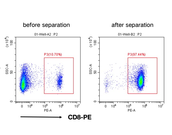 Mouse CD8+ Cell Separation Kit