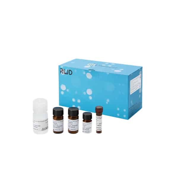 High Activity Tumor Tissue Enzymatic Digestion Kit(Human)