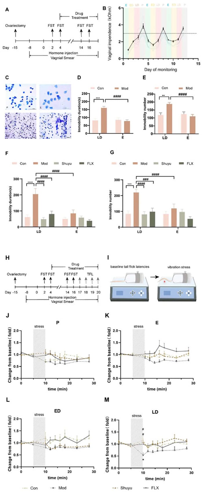 Figure 1. Preparation of PMDD depressive rat model and evaluation of ShuYu Capsule efficacy