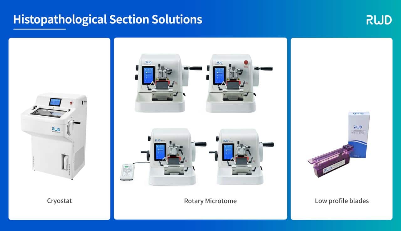 Histopathological Section solutions