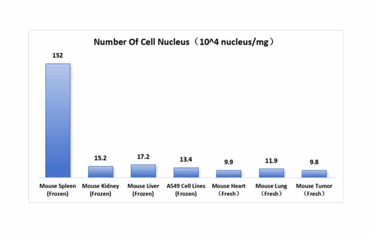 Number of Cell Nucleus